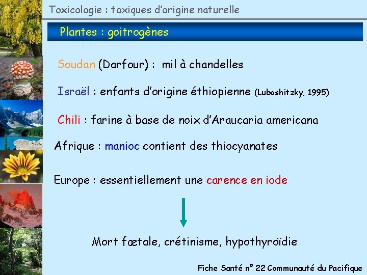 Toxicologie : toxiques d’origine naturelle Plantes : goitrogènes Soudan (Darfour) : mil à chandelles