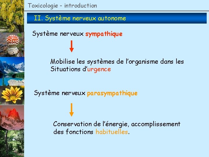 Toxicologie - introduction II. Système nerveux autonome Système nerveux sympathique Mobilise les systèmes de