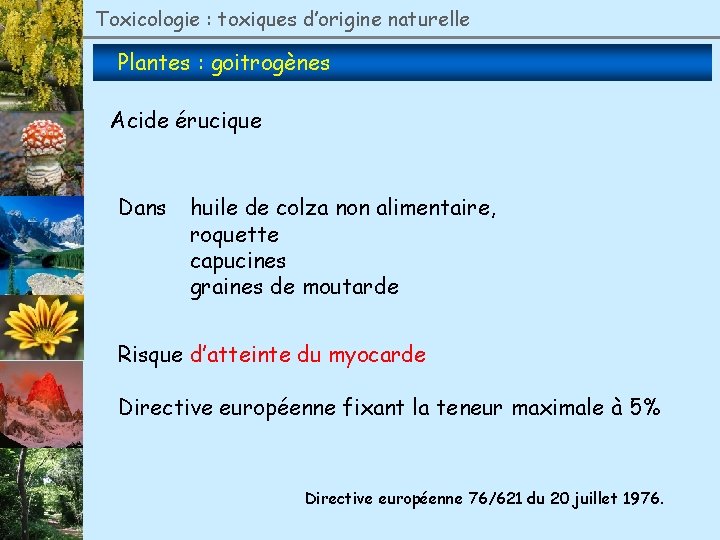 Toxicologie : toxiques d’origine naturelle Plantes : goitrogènes Acide érucique Dans huile de colza