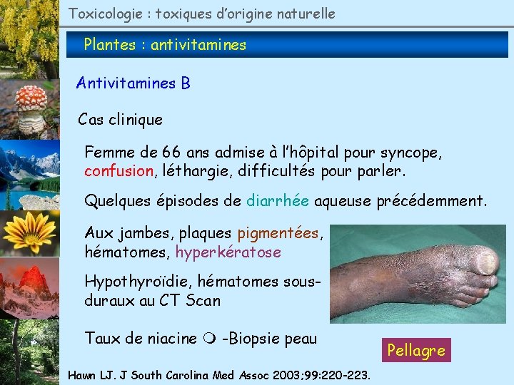 Toxicologie : toxiques d’origine naturelle Plantes : antivitamines Antivitamines B Cas clinique Femme de