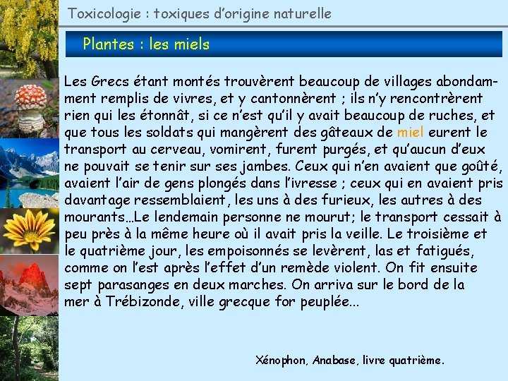 Toxicologie : toxiques d’origine naturelle Plantes : les miels Les Grecs étant montés trouvèrent