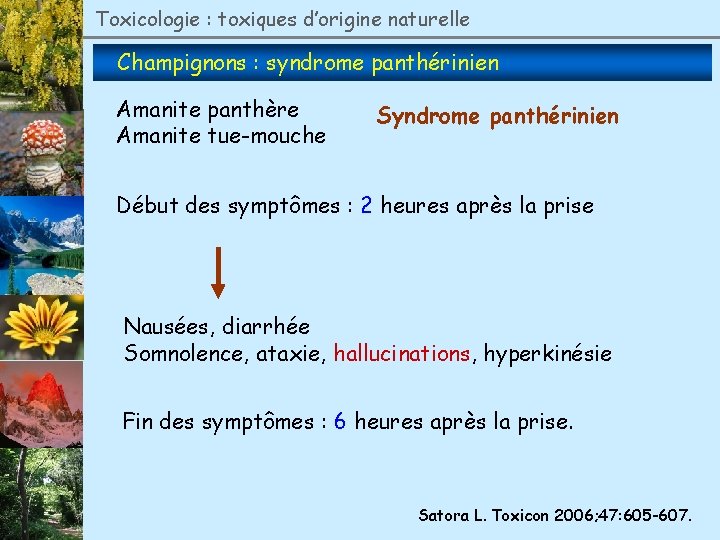 Toxicologie : toxiques d’origine naturelle Champignons : syndrome panthérinien Amanite panthère Amanite tue-mouche Syndrome