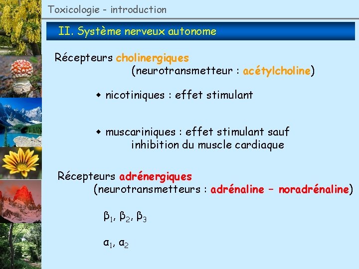 Toxicologie - introduction II. Système nerveux autonome Récepteurs cholinergiques (neurotransmetteur : acétylcholine) nicotiniques :