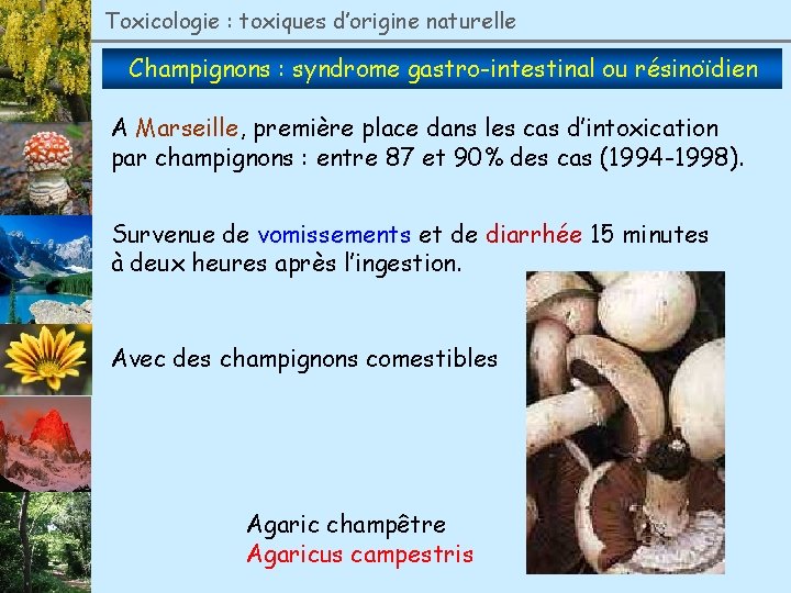 Toxicologie : toxiques d’origine naturelle Champignons : syndrome gastro-intestinal ou résinoïdien A Marseille, première