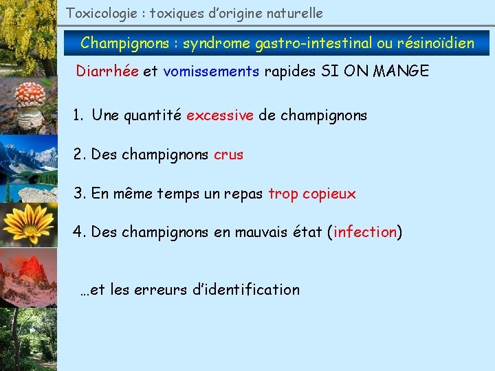 Toxicologie : toxiques d’origine naturelle Champignons : syndrome gastro-intestinal ou résinoïdien Diarrhée et vomissements