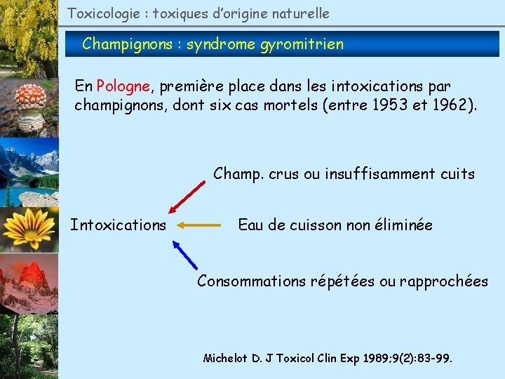 Toxicologie : toxiques d’origine naturelle Champignons : syndrome gyromitrien En Pologne, première place dans