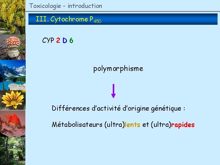 Toxicologie - introduction III. Cytochrome P 450 CYP 2 D 6 polymorphisme Différences d’activité