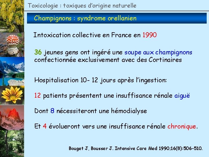 Toxicologie : toxiques d’origine naturelle Champignons : syndrome orellanien Intoxication collective en France en