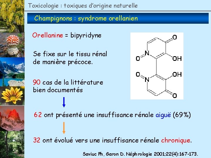 Toxicologie : toxiques d’origine naturelle Champignons : syndrome orellanien Orellanine = bipyridyne Se fixe