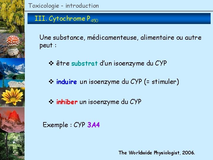 Toxicologie - introduction III. Cytochrome P 450 Une substance, médicamenteuse, alimentaire ou autre peut