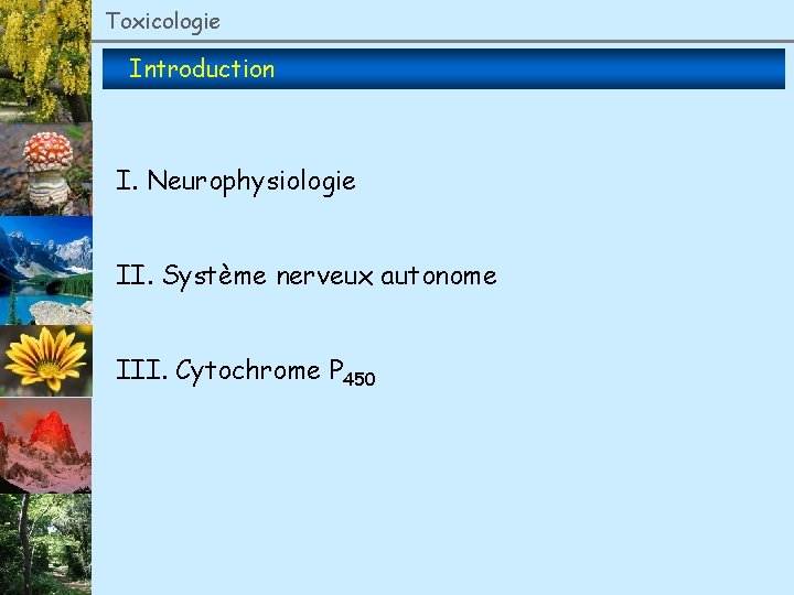 Toxicologie Introduction I. Neurophysiologie II. Système nerveux autonome III. Cytochrome P 450 