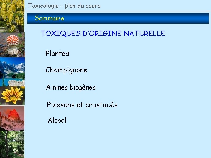 Toxicologie – plan du cours Sommaire TOXIQUES D’ORIGINE NATURELLE Plantes Champignons Amines biogènes Poissons