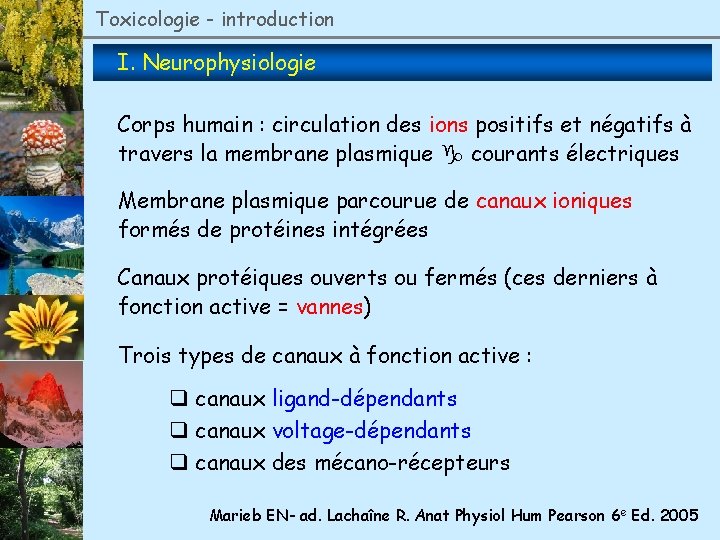 Toxicologie - introduction I. Neurophysiologie Corps humain : circulation des ions positifs et négatifs