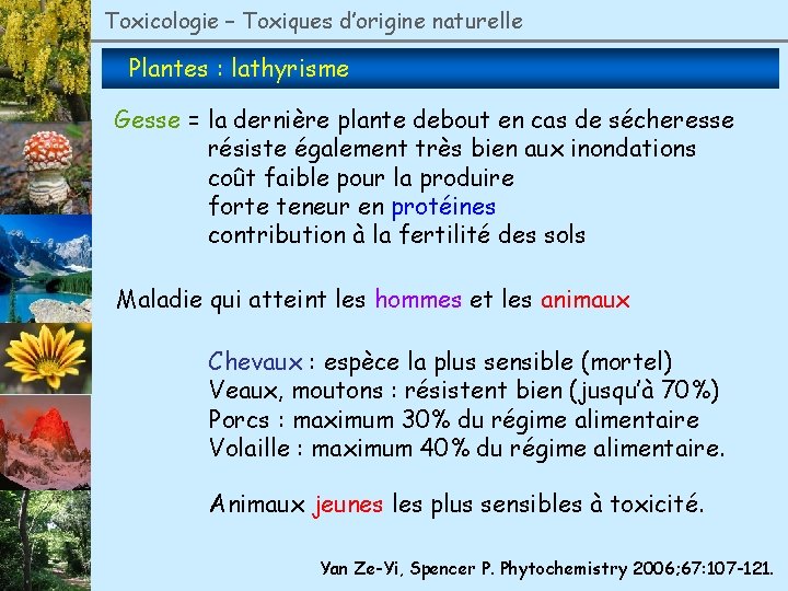 Toxicologie – Toxiques d’origine naturelle Plantes : lathyrisme Gesse = la dernière plante debout