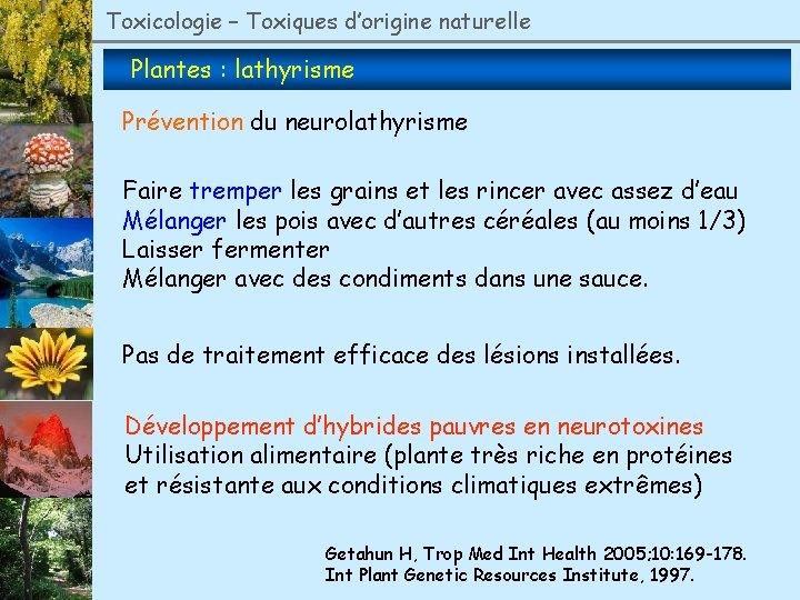 Toxicologie – Toxiques d’origine naturelle Plantes : lathyrisme Prévention du neurolathyrisme Faire tremper les