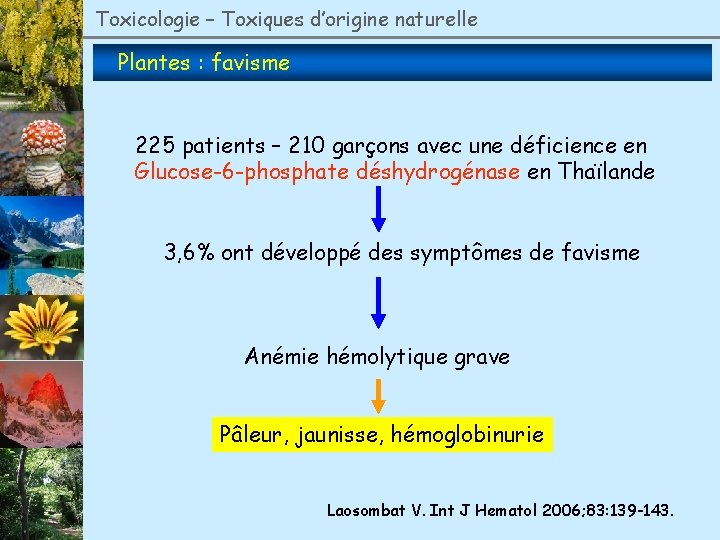 Toxicologie – Toxiques d’origine naturelle Plantes : favisme 225 patients – 210 garçons avec