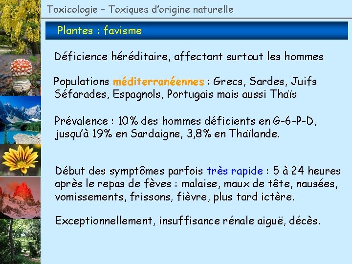 Toxicologie – Toxiques d’origine naturelle Plantes : favisme Déficience héréditaire, affectant surtout les hommes