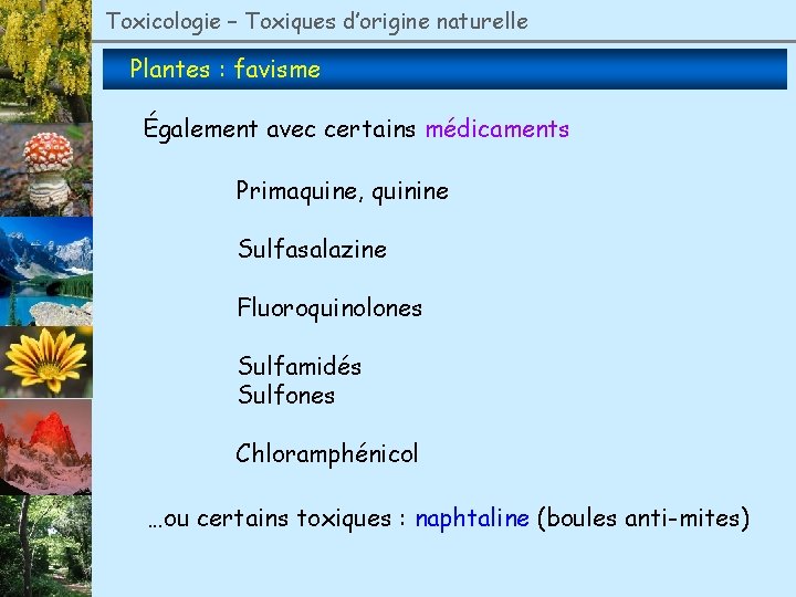 Toxicologie – Toxiques d’origine naturelle Plantes : favisme Également avec certains médicaments Primaquine, quinine