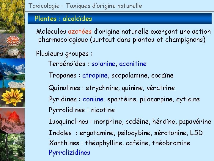 Toxicologie – Toxiques d’origine naturelle Plantes : alcaloïdes Molécules azotées d’origine naturelle exerçant une