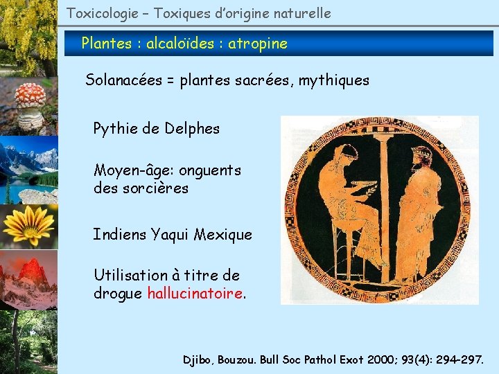 Toxicologie – Toxiques d’origine naturelle Plantes : alcaloïdes : atropine Solanacées = plantes sacrées,