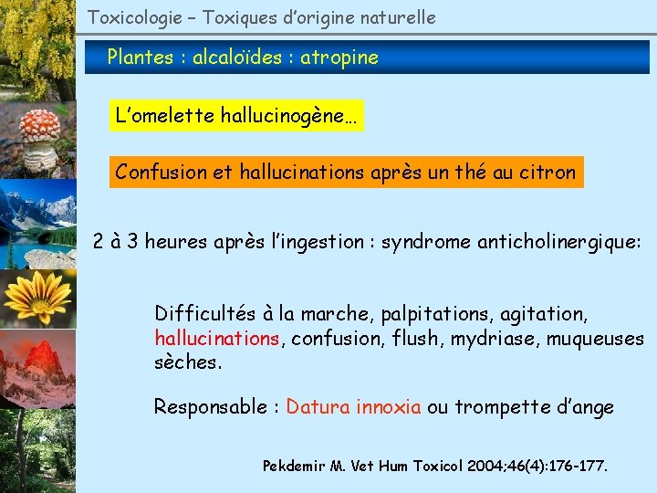 Toxicologie – Toxiques d’origine naturelle Plantes : alcaloïdes : atropine L’omelette hallucinogène… Confusion et