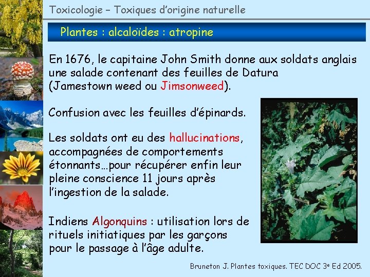 Toxicologie – Toxiques d’origine naturelle Plantes : alcaloïdes : atropine En 1676, le capitaine