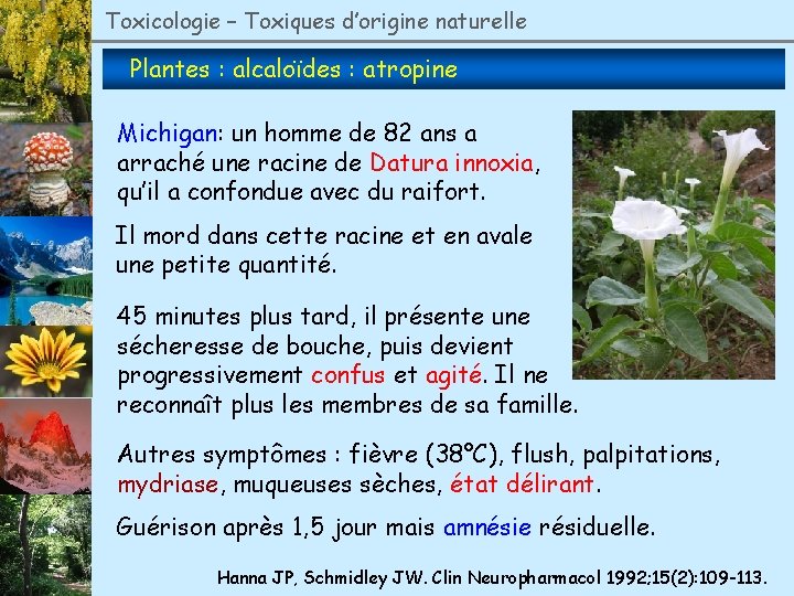 Toxicologie – Toxiques d’origine naturelle Plantes : alcaloïdes : atropine Michigan: un homme de