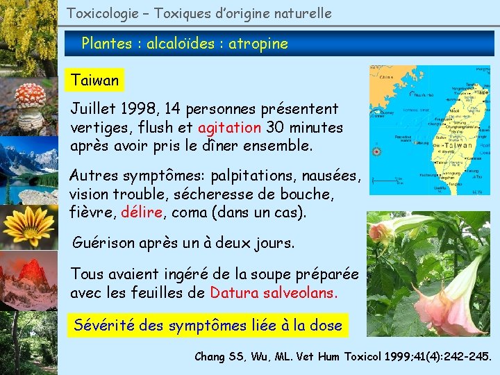 Toxicologie – Toxiques d’origine naturelle Plantes : alcaloïdes : atropine Taiwan Juillet 1998, 14