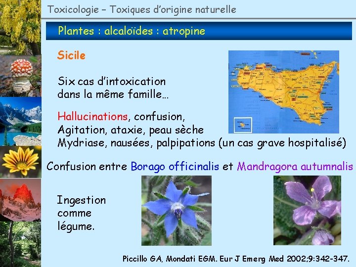 Toxicologie – Toxiques d’origine naturelle Plantes : alcaloïdes : atropine Sicile Six cas d’intoxication