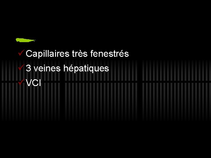 ü Capillaires très fenestrés ü 3 veines hépatiques ü VCI 