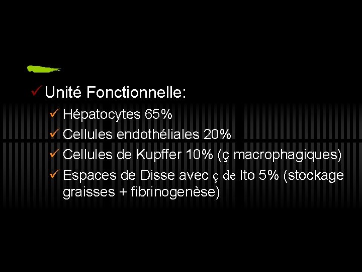 ü Unité Fonctionnelle: ü Hépatocytes 65% ü Cellules endothéliales 20% ü Cellules de Kupffer