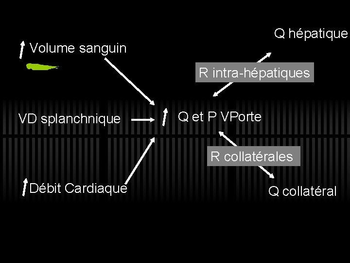 Q hépatique Volume sanguin R intra-hépatiques VD splanchnique Q et P VPorte R collatérales