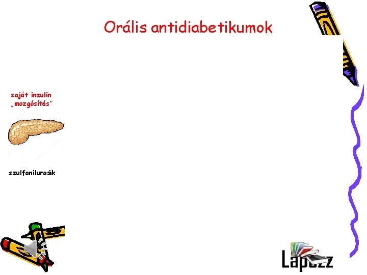 Orális antidiabetikumok saját inzulin „mozgósítás” az inzulinkiáramlást fokozzák növelik az étvágyat hypoglycaemizálnak szulfanilureák 