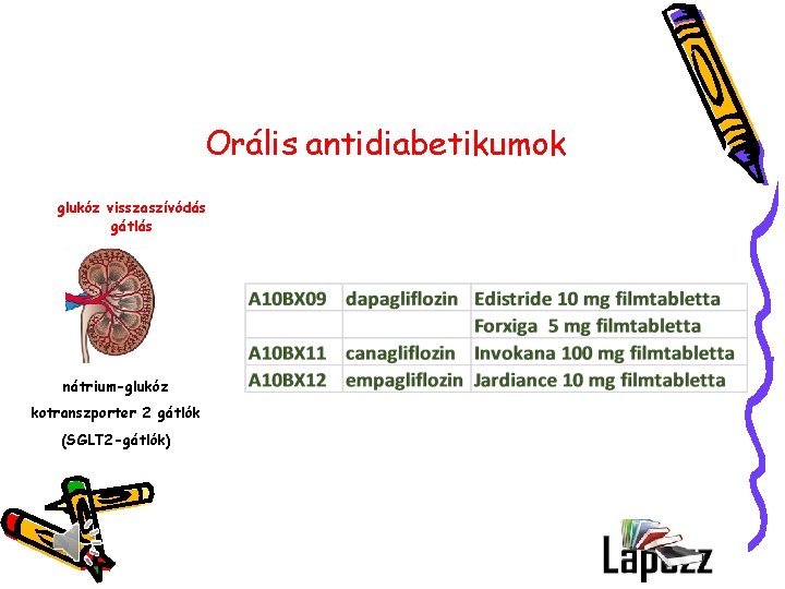 Orális antidiabetikumok glukóz visszaszívódás gátlás nátrium-glukóz kotranszporter 2 gátlók (SGLT 2 -gátlók) 