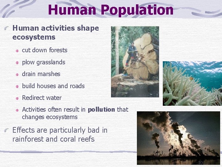 Human Population Human activities shape ecosystems cut down forests plow grasslands drain marshes build