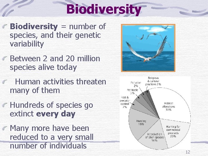 Biodiversity = number of species, and their genetic variability Between 2 and 20 million