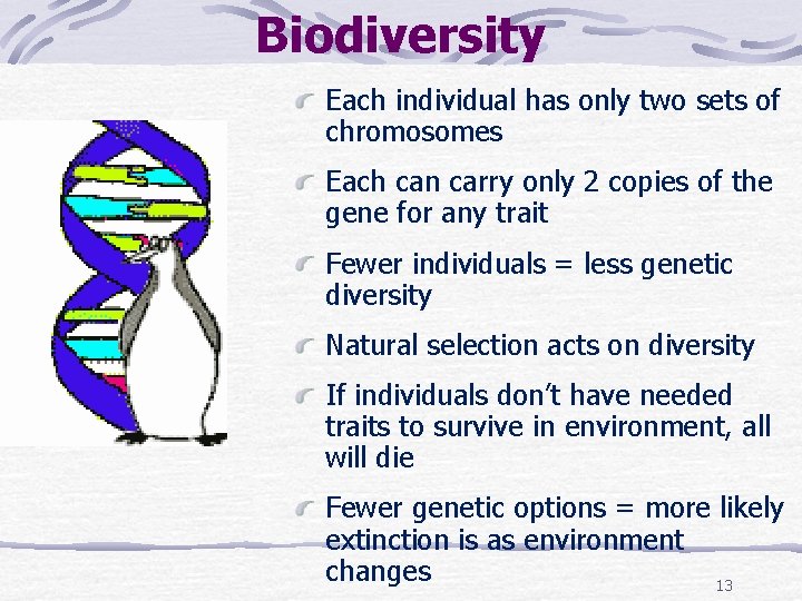 Biodiversity Each individual has only two sets of chromosomes Each can carry only 2