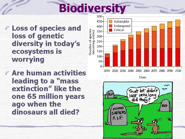 Biodiversity Loss of species and loss of genetic diversity in today’s ecosystems is worrying