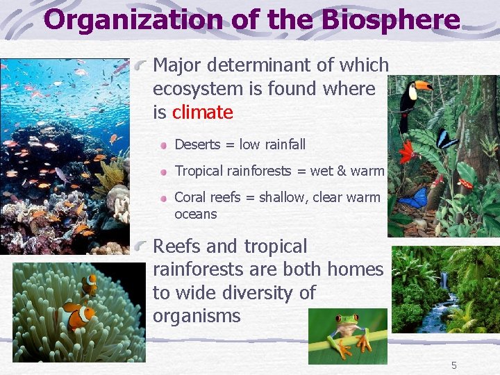 Organization of the Biosphere Major determinant of which ecosystem is found where is climate