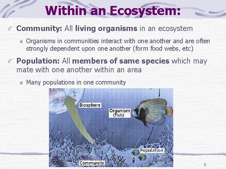 Within an Ecosystem: Community: All living organisms in an ecosystem Organisms in communities interact