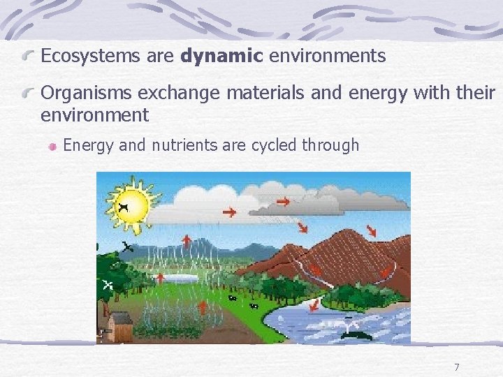 Ecosystems are dynamic environments Organisms exchange materials and energy with their environment Energy and
