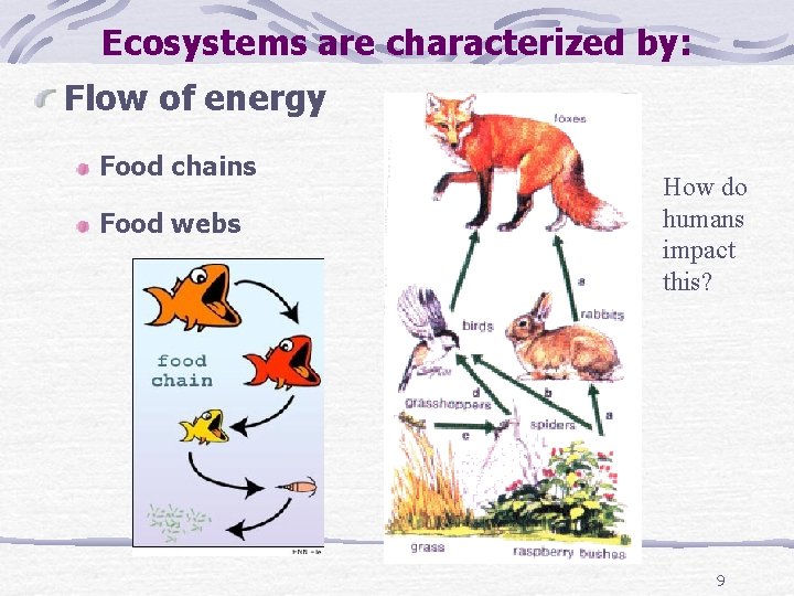 Ecosystems are characterized by: Flow of energy Food chains Food webs How do humans