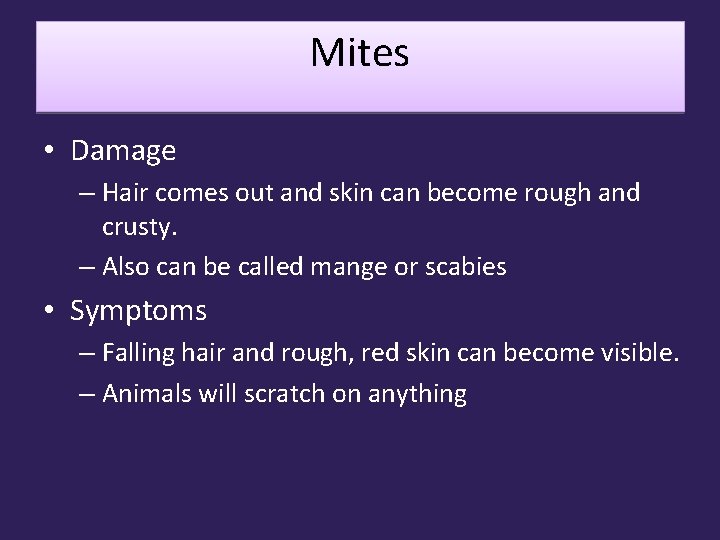 Mites • Damage – Hair comes out and skin can become rough and crusty.