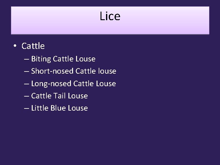 Lice • Cattle – Biting Cattle Louse – Short-nosed Cattle louse – Long-nosed Cattle