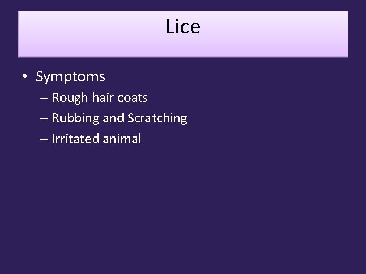 Lice • Symptoms – Rough hair coats – Rubbing and Scratching – Irritated animal