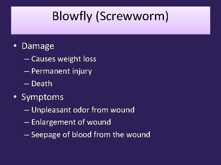 Blowfly (Screwworm) • Damage – Causes weight loss – Permanent injury – Death •