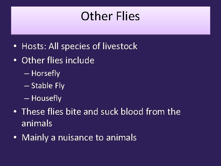 Other Flies • Hosts: All species of livestock • Other flies include – Horsefly