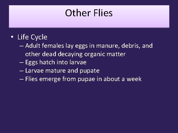 Other Flies • Life Cycle – Adult females lay eggs in manure, debris, and