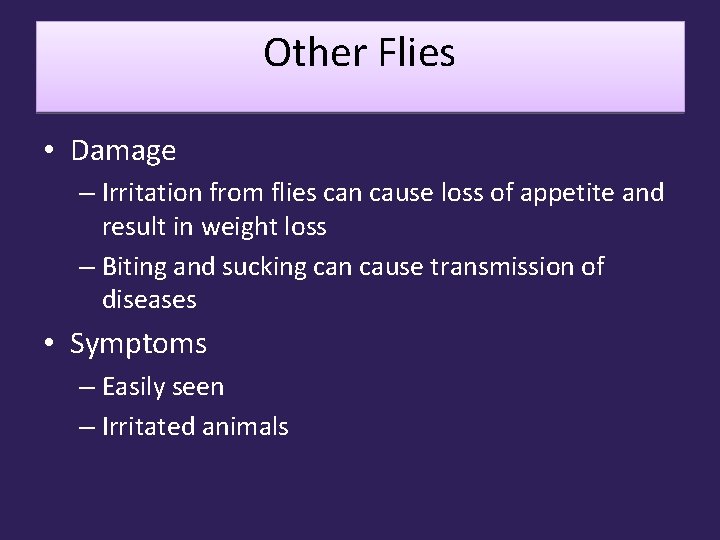 Other Flies • Damage – Irritation from flies can cause loss of appetite and