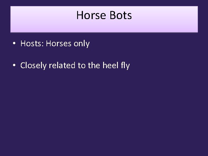 Horse Bots • Hosts: Horses only • Closely related to the heel fly 